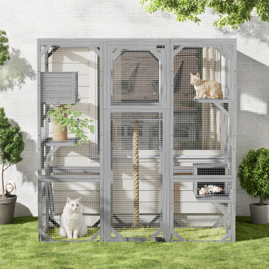 Outdoor cat cage enclosure with climbing rope and three cats inside