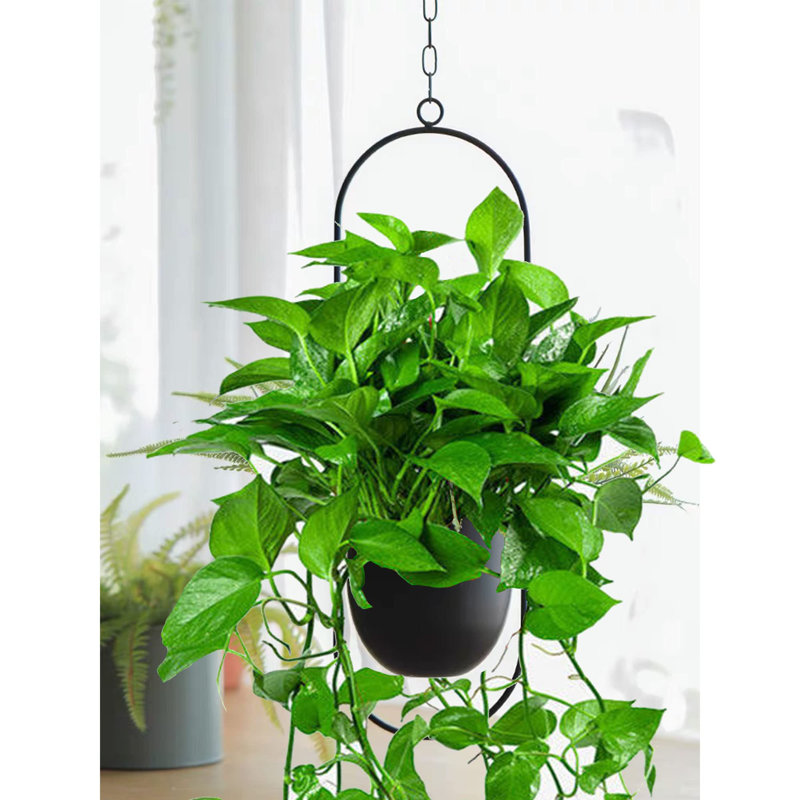 Metal Wall Planter