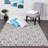 Alkire Performance Gray/Off White Rug-32002285
