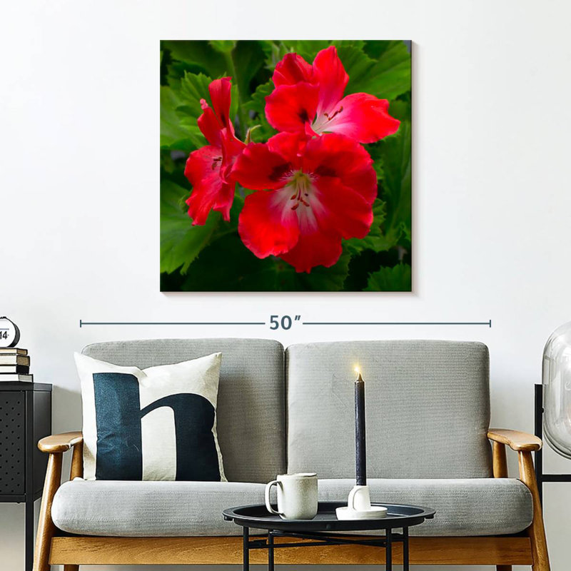 Harnek Red Hibiscus Flowers