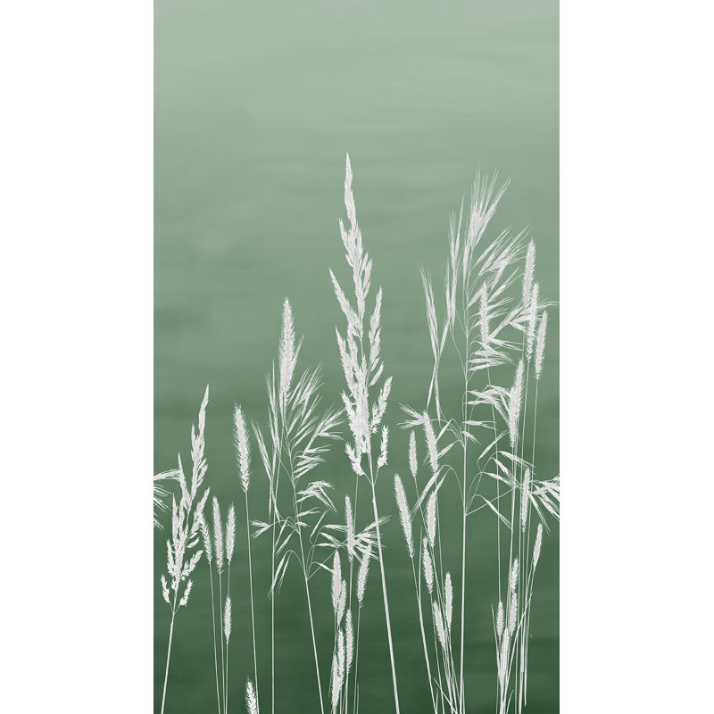 Willow Grass Green Wall Mural, Green