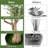 71.5'' Faux Olive Tree Tree