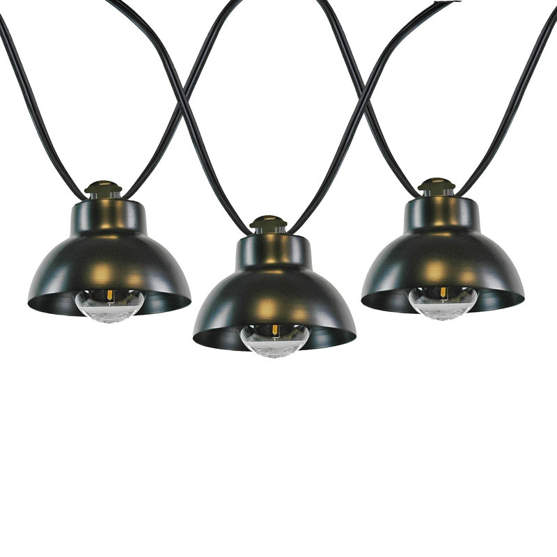 Doyne 10 - Bulb 11 in. Plug-in Globe LED