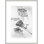 Dessins de fusils à barils multiples par Leonardo Da Vinci - impression giclée encadrée