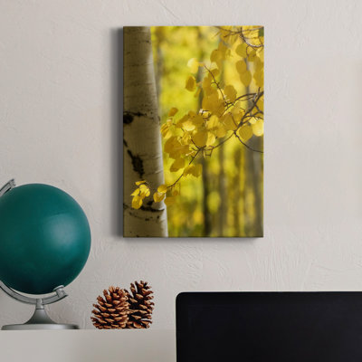 " Aspen Highlights "