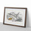 Various Seals XLVII by Oliver Goldsmith - Picture Frame Painting Print-55605258-55605259