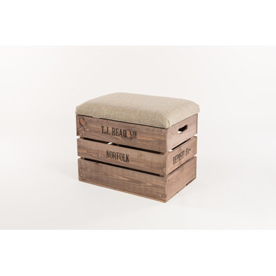 Rachelle 48.5cm Wide Rectangle No Pattern Ottoman with Storage