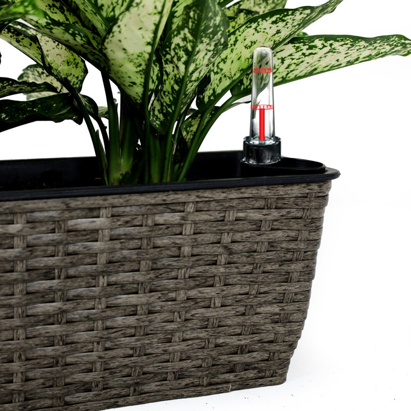 Dark Gray Self-Watering Planter 2 - Rectangular Beautiful Garden Decor Hand Woven Ideal For All Weather Gardening, Dark Gray