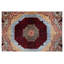 Aryana Wool Oriental Area Rug