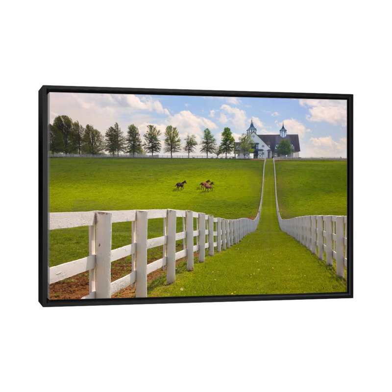 «Manchester Farm, Kentucky 08 - Color» par Monte Nagler, reproduction de photo sur toile, H 18 po x l 26 po x P 1,5 po