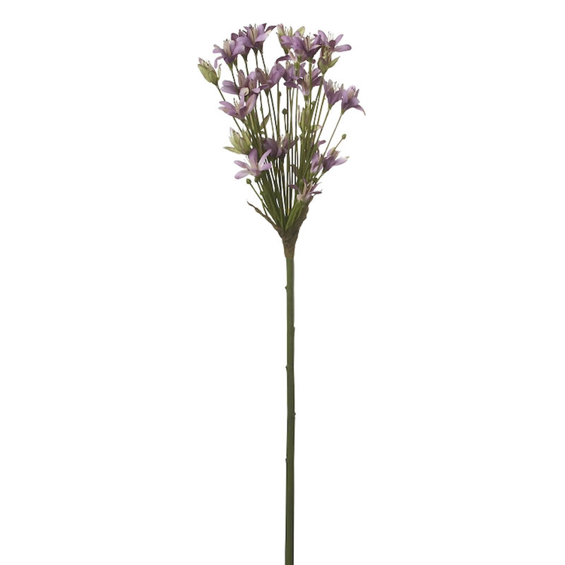 Tige agapanthus, Mauve clair