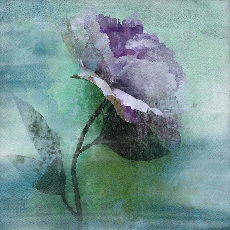 "beauté en mauve" par irena orlov, reproduction d’art sur toile tendue, H 48 po x l 48 po x P 1,5 po