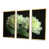 Toile avec cadre flottant or