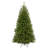 Camron North Valley Spruce Tree-1188237934