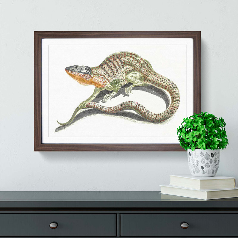 Lizard by Johan Teyler - Framed Print, Walnut Framed, 27cm H x 36cm W x 2cm D