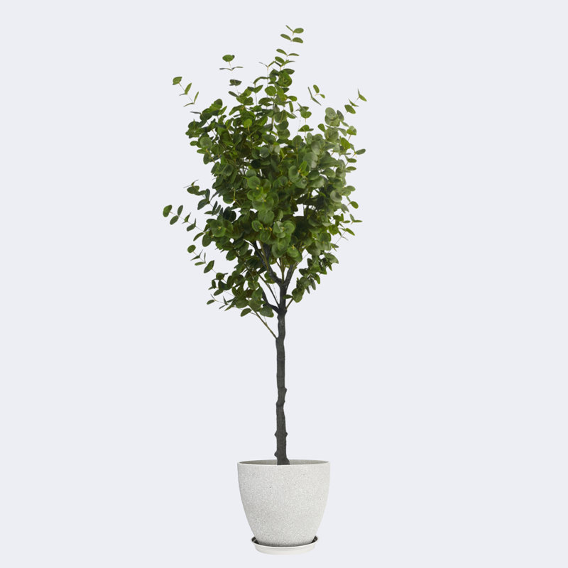 Pots ronds en résine artificielle avec plateau d'eucalyptus artificiel et résine, Gris clair, 19.69" H x 70.87" W x 19.69" D