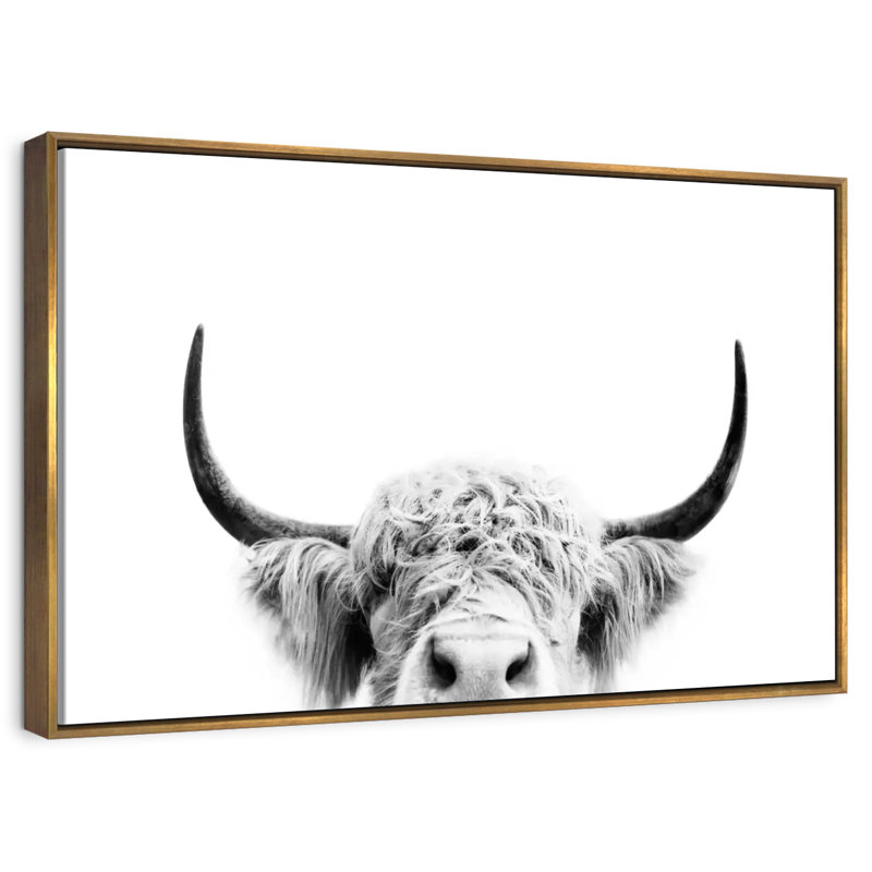 Peeking Cow BW, 46 po x 31 po, Cadre flottant doré