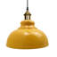 Binns 1 - Light Dome Pendant-1116152352