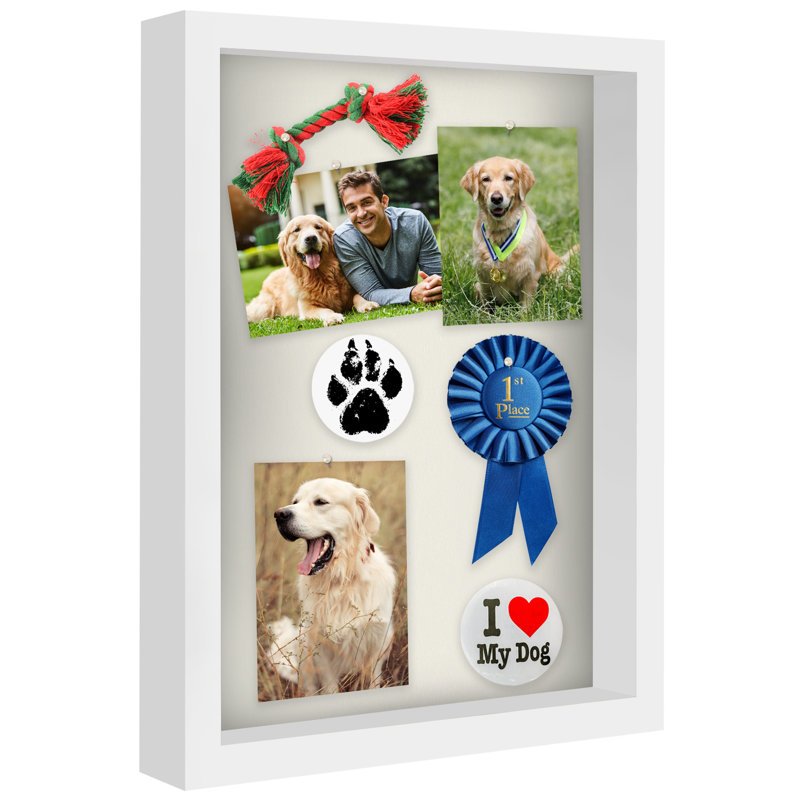Cadre Delboxillo Shadowbox de 1,5 po de profondeur pour objets avec façade en verre, Blanc, L 12 po x H 16 po