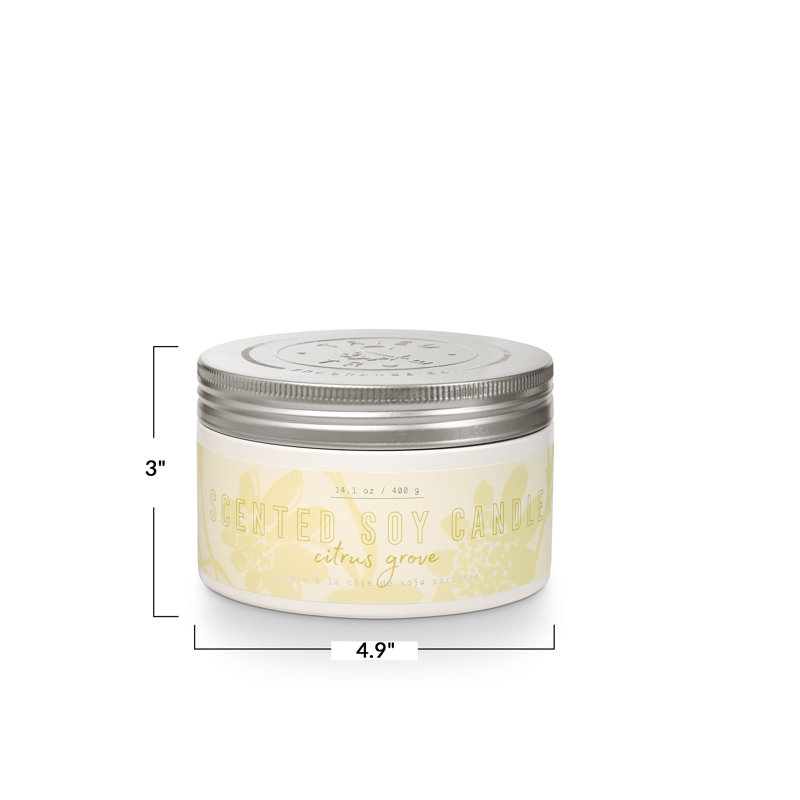 Essayé et vrai gros fer-blanc, agrume, 14,1 oz blanc / étain argenté