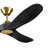 Caeden Ceiling Fan-1552286035-1549881012-1562742216