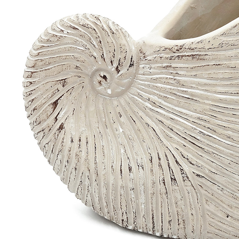 Textured Beige 8.5X5.5X6.3 Inches Sand And Cement Shell Planter, Suitable For Hyacinth Planting Planter With Surface, Great Displays