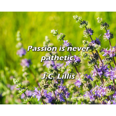 J.C. Lillis Quote: Passion is never pathetic.