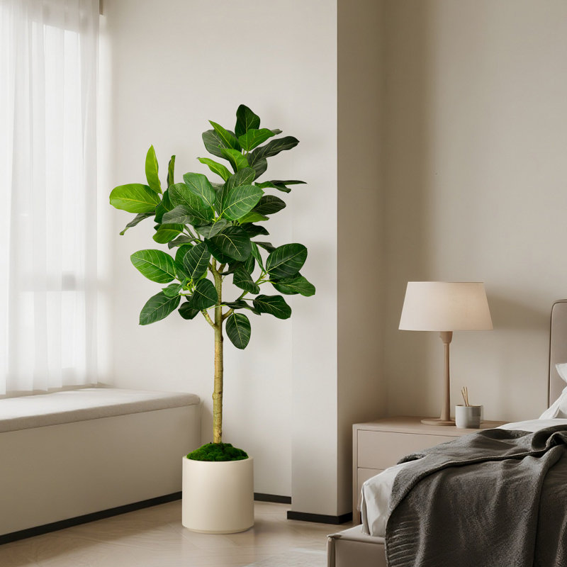 Arbre ficus artificiel en pot blanc 5 pi