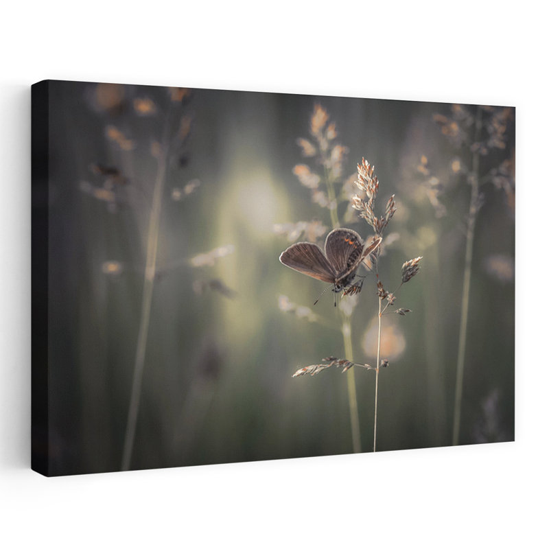 Art contemporain, art papillon d'été, H 24 po x l 16 po
