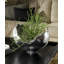 Cast Naturals Burled Bowl