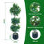 120cm Plant