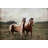 " Two Horses Stand "-1546300455