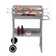 Tepro Pasadena Trolley Mounted Charcoal BBQ Grill | Wayfair.co.uk