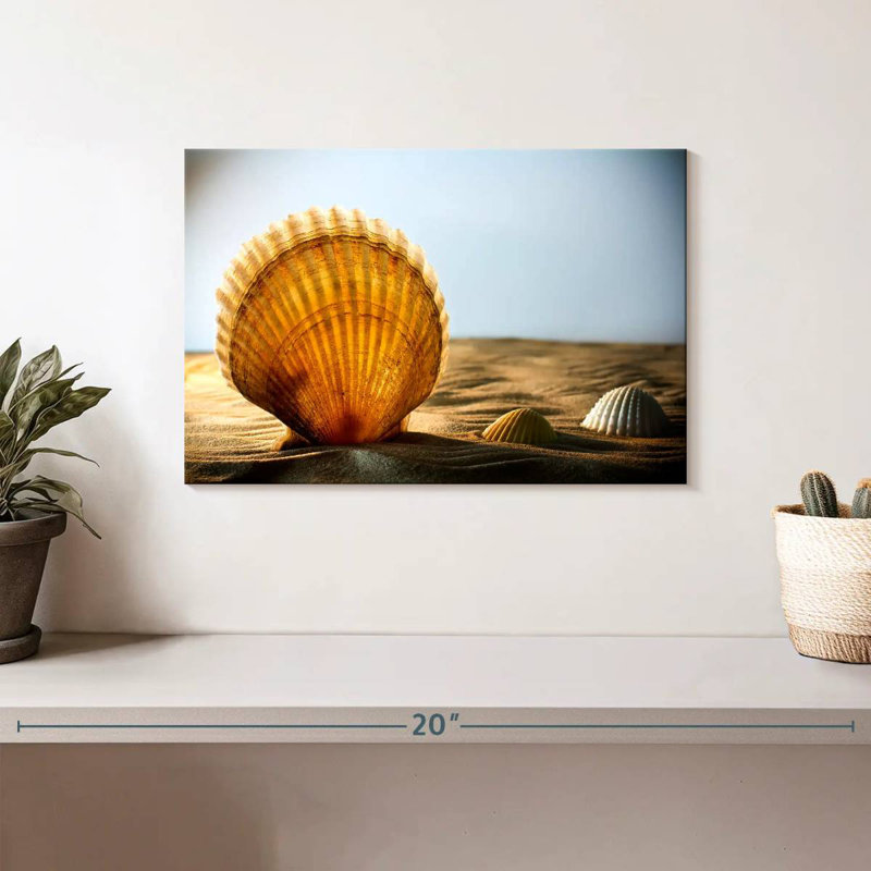 Aletra Sand Seashells, 8" H x 12" W