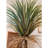 Faux Palm Tree in Pot-2111387654
