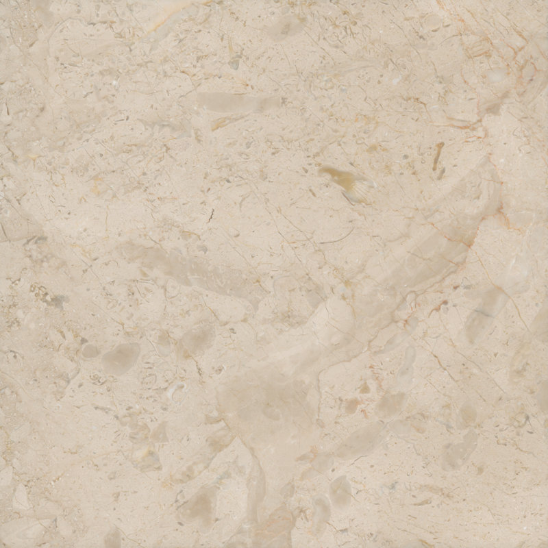 Carreau de marbre Crema Marfil adouci de 30,5 x 30,5 cm
