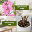 120cm Plant