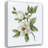 Lark Manor™ Nan Gallery Wrapped Canvas Art Titled: Magnolia Morning II-186211062