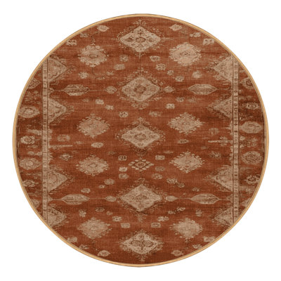 Machine Washable Overdyed Brown Area Rug
