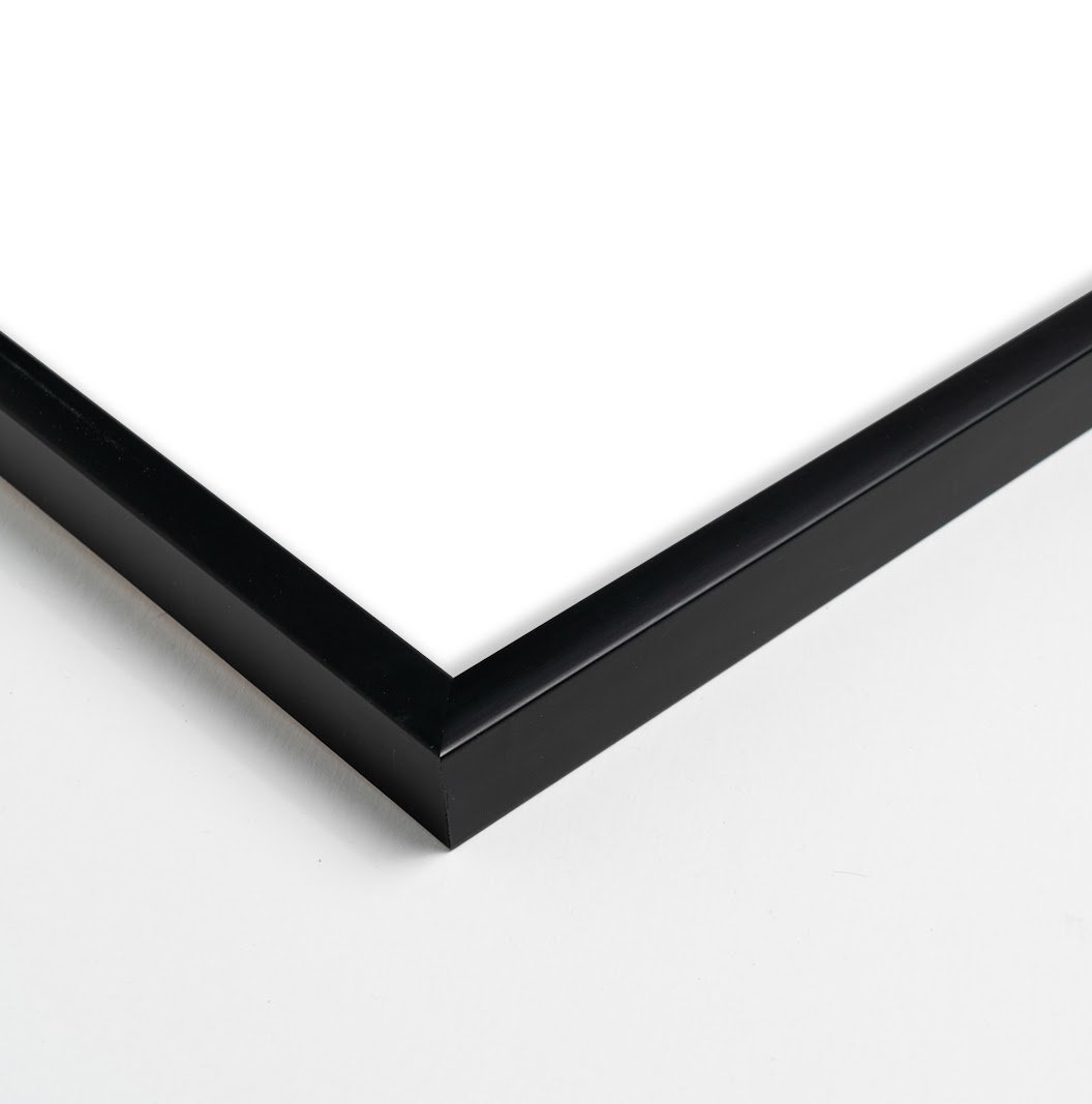 Succulent Set Of 2 by StudioM, Black, 44" H x 44" W x 1.25" D