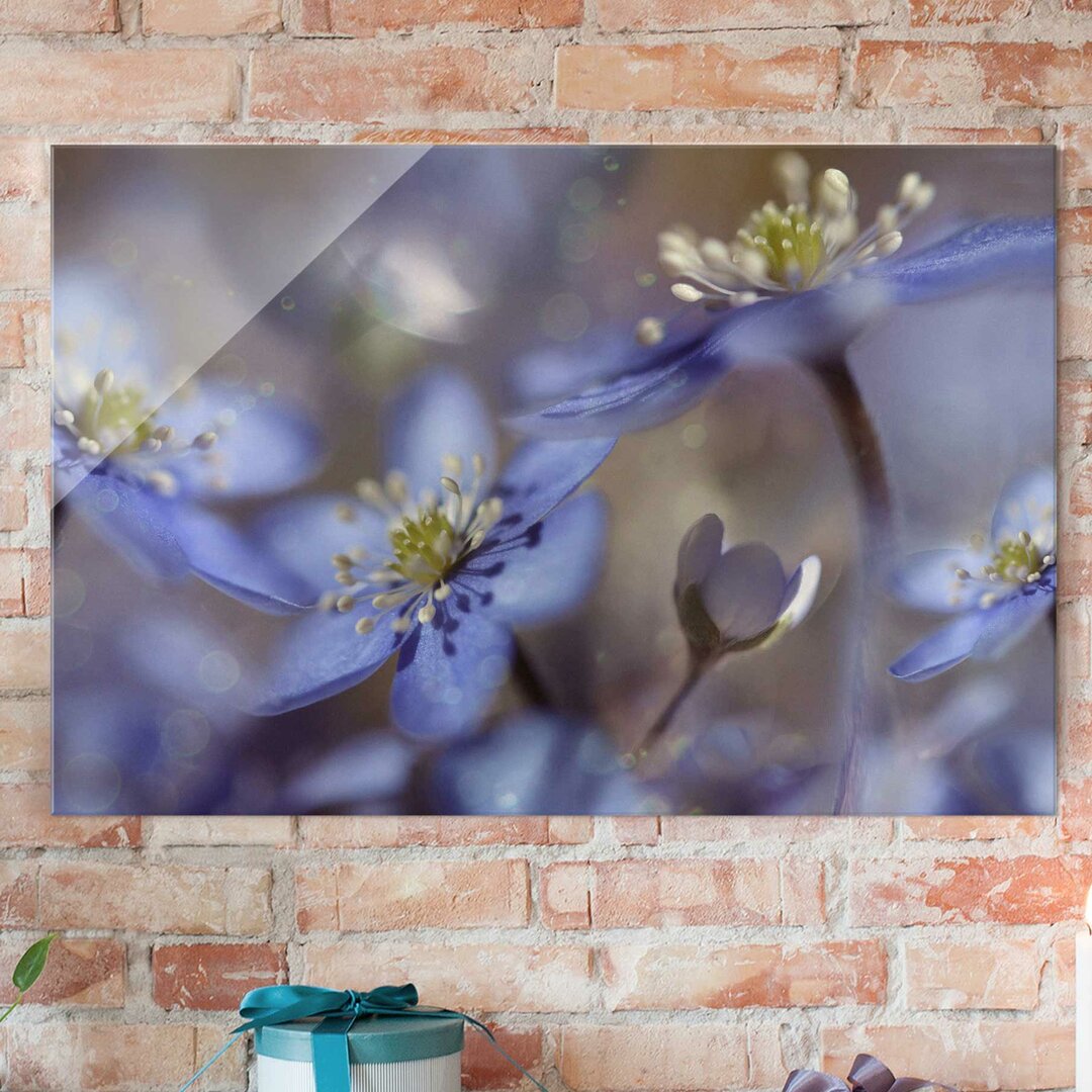 Glasbild Anemonen in Blau