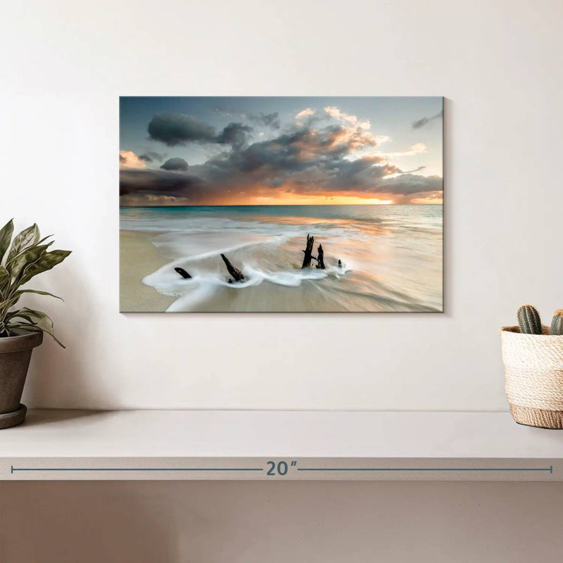 Bois flottant Gillard Ffryes Beach, H 8 po x l 12 po
