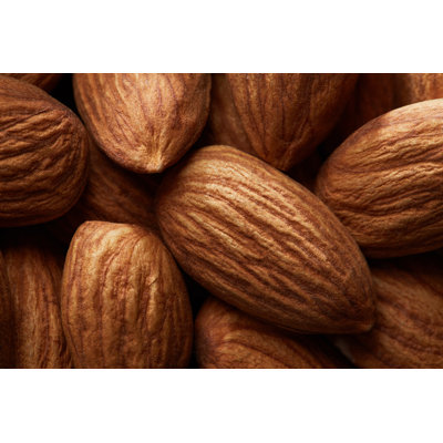 Almonds by ArtJazz - Wrapped Canvas Print