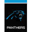 Drapeau de la Carolina NFL Licensed House-392237219-392237183