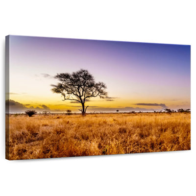 Kruger Park Sunrise Horizon