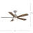 52'' Ceiling Fan with LED Lights-343565307