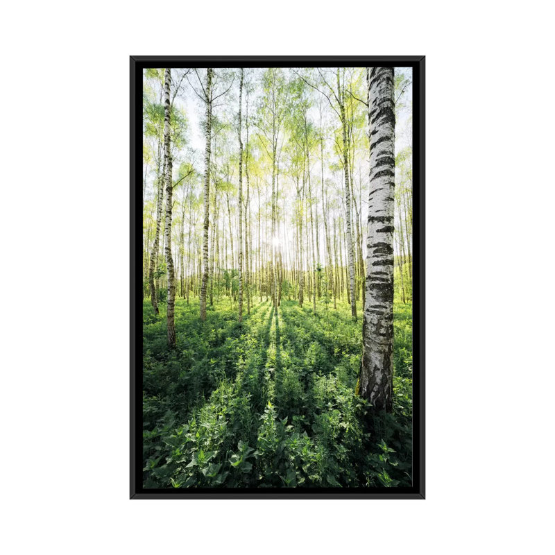 «Flooded by Light», reproduction de photo sur toile, H 26 po x l 18 po x P 1,5 po, Toile avec cadre noir, Pas de tapis