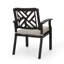 Outdoor Dining Armchair with Cushions