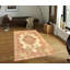 Oriental Area Rug in Ivory
