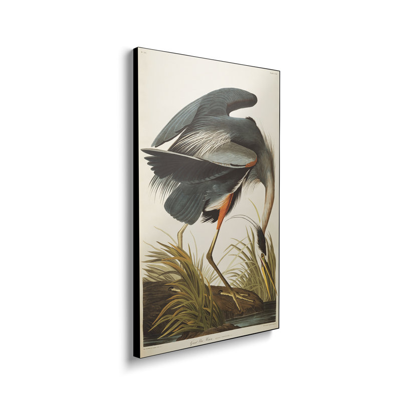 Reproduction d'art sur toile en métal «Steelerix» - Grand héron bleu par John James Audubon